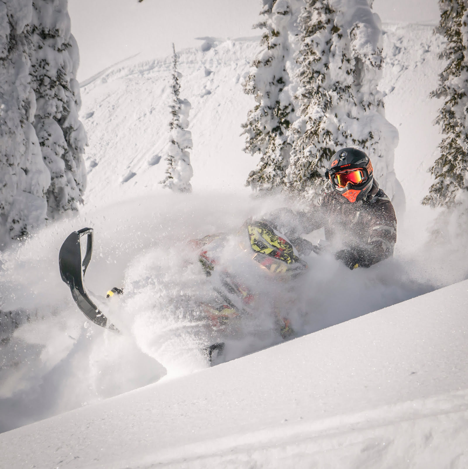 Snowmobiling in Fernie Fernie Fox