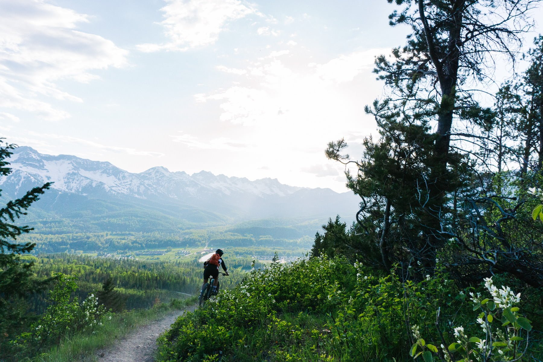 mountain biking in Fernie down a trail with view of Lizard Range near Fernie BC_photo by Kyle Hamilton