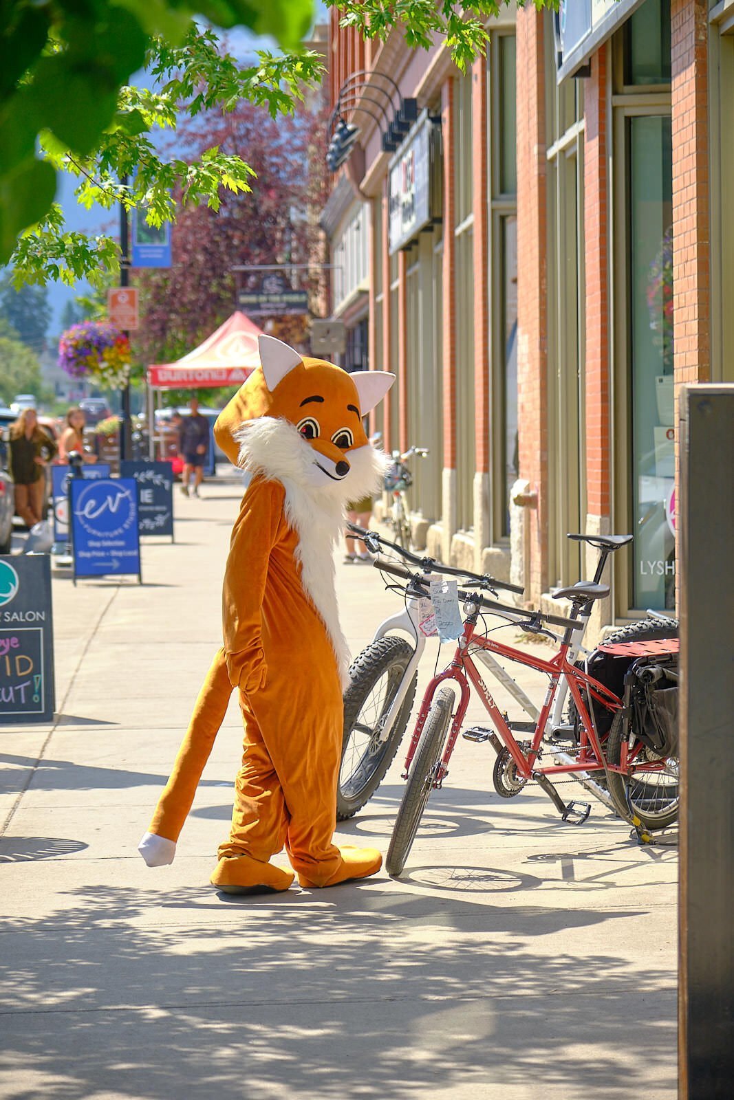 fernie-fox-hotel-mascot-summer-bucket-list