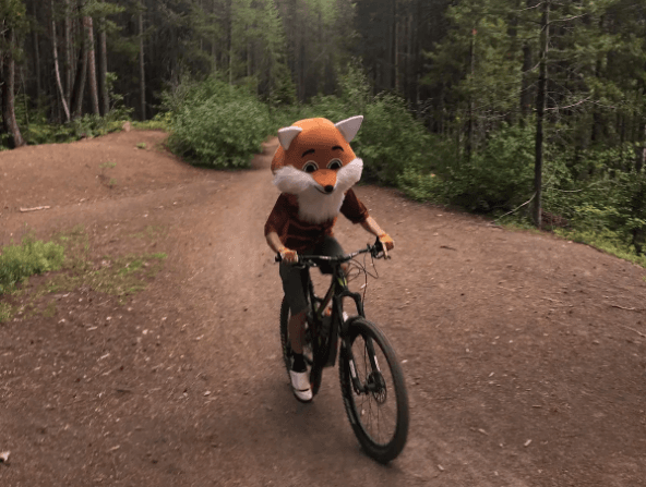 Mountain Biking in Fernie Off-Season