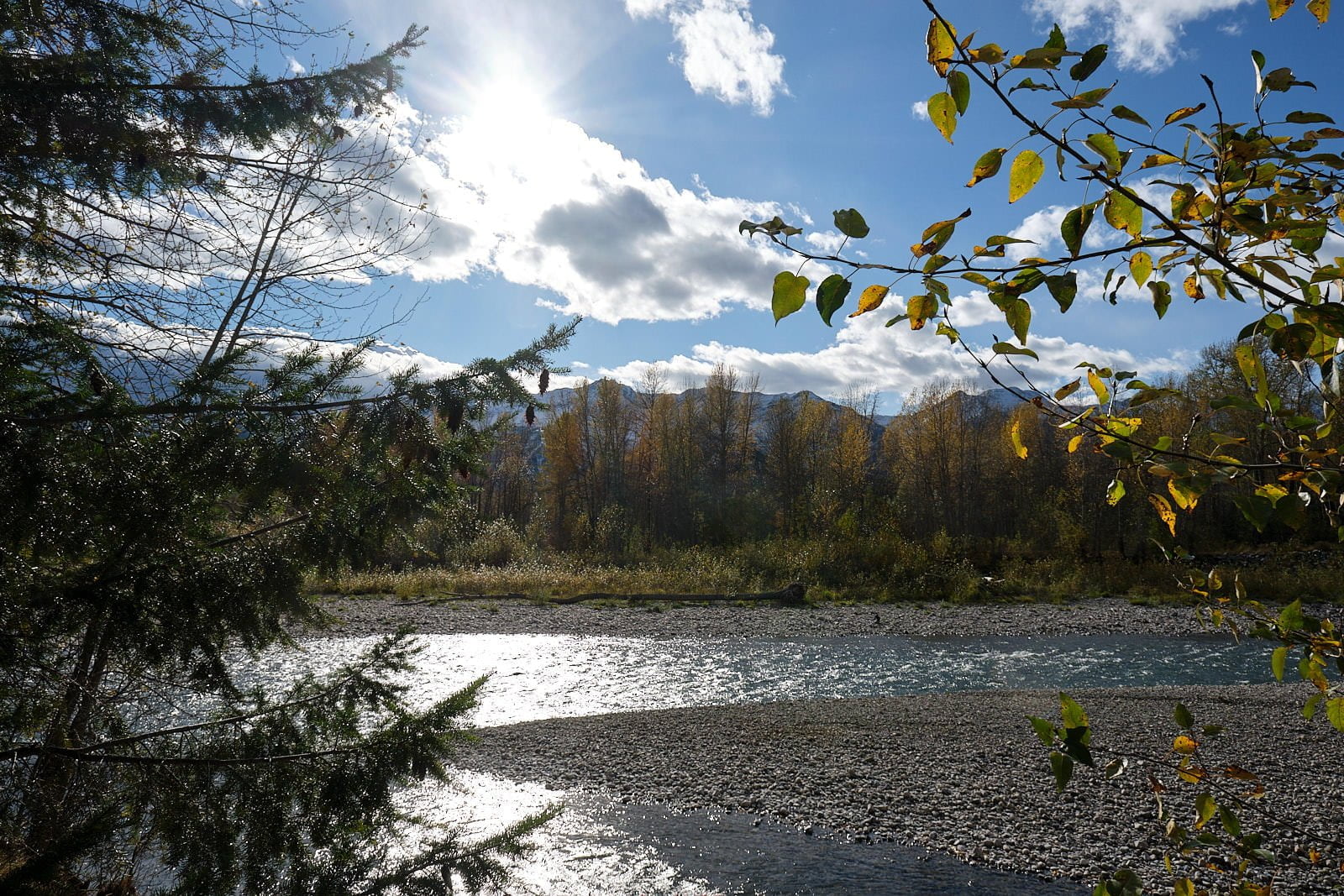Fernie in the fall with the Elk River running through it.