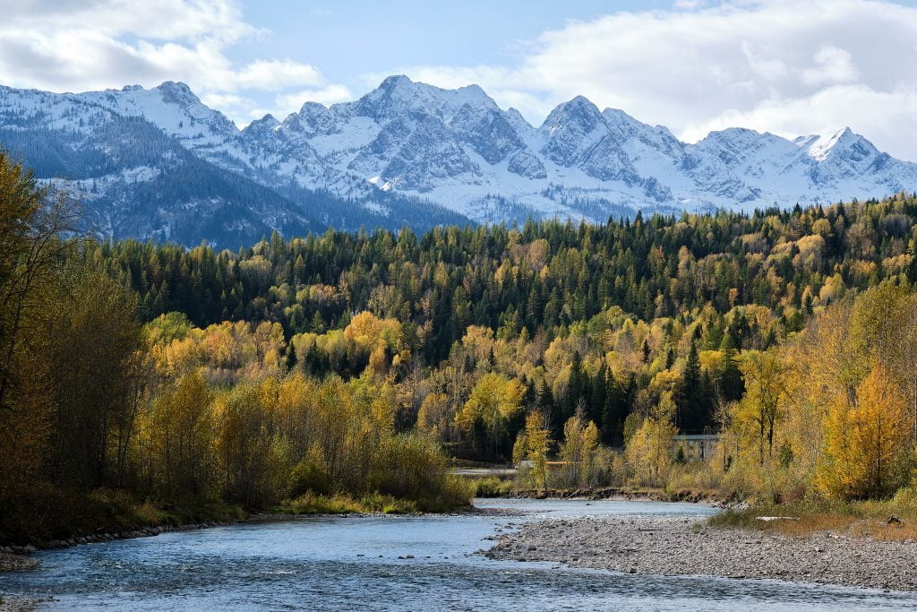 Elk river in foreground, with Lizard Range in background, and Fernie Fox Hotel visible through the trees.