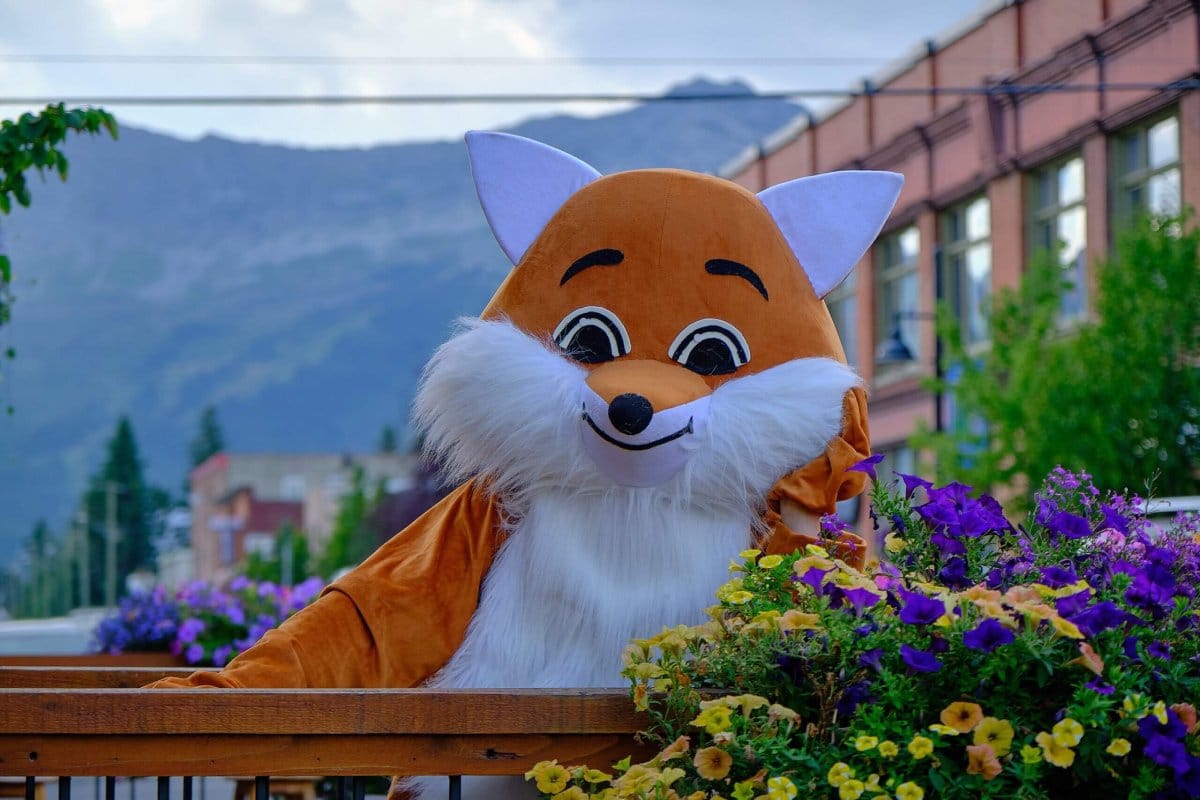 Fall Hiking Season in Fernie