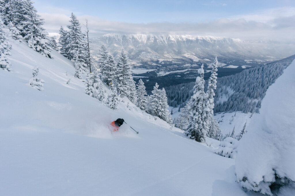 Skier in deep snow at Fernie Alpine Resort