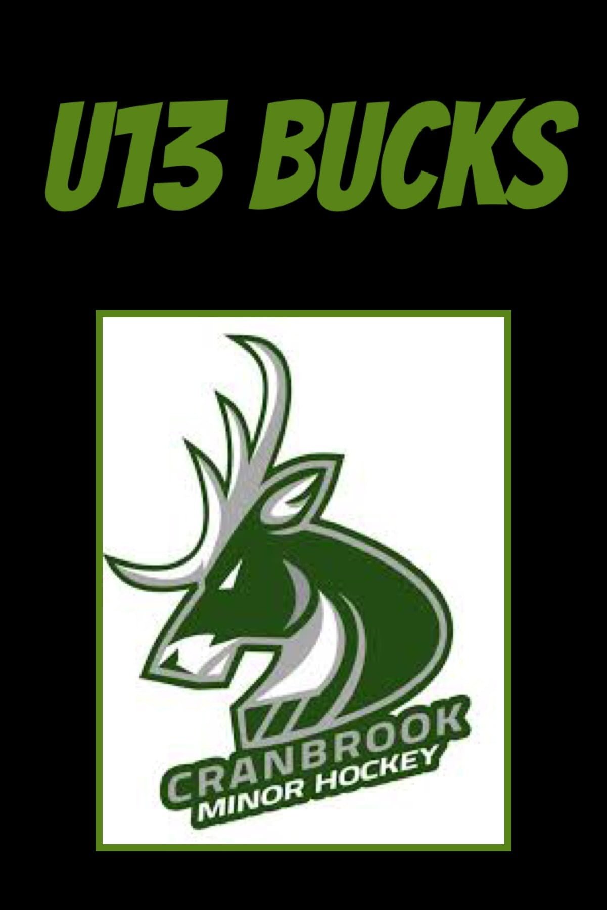 U13 Bucks logo