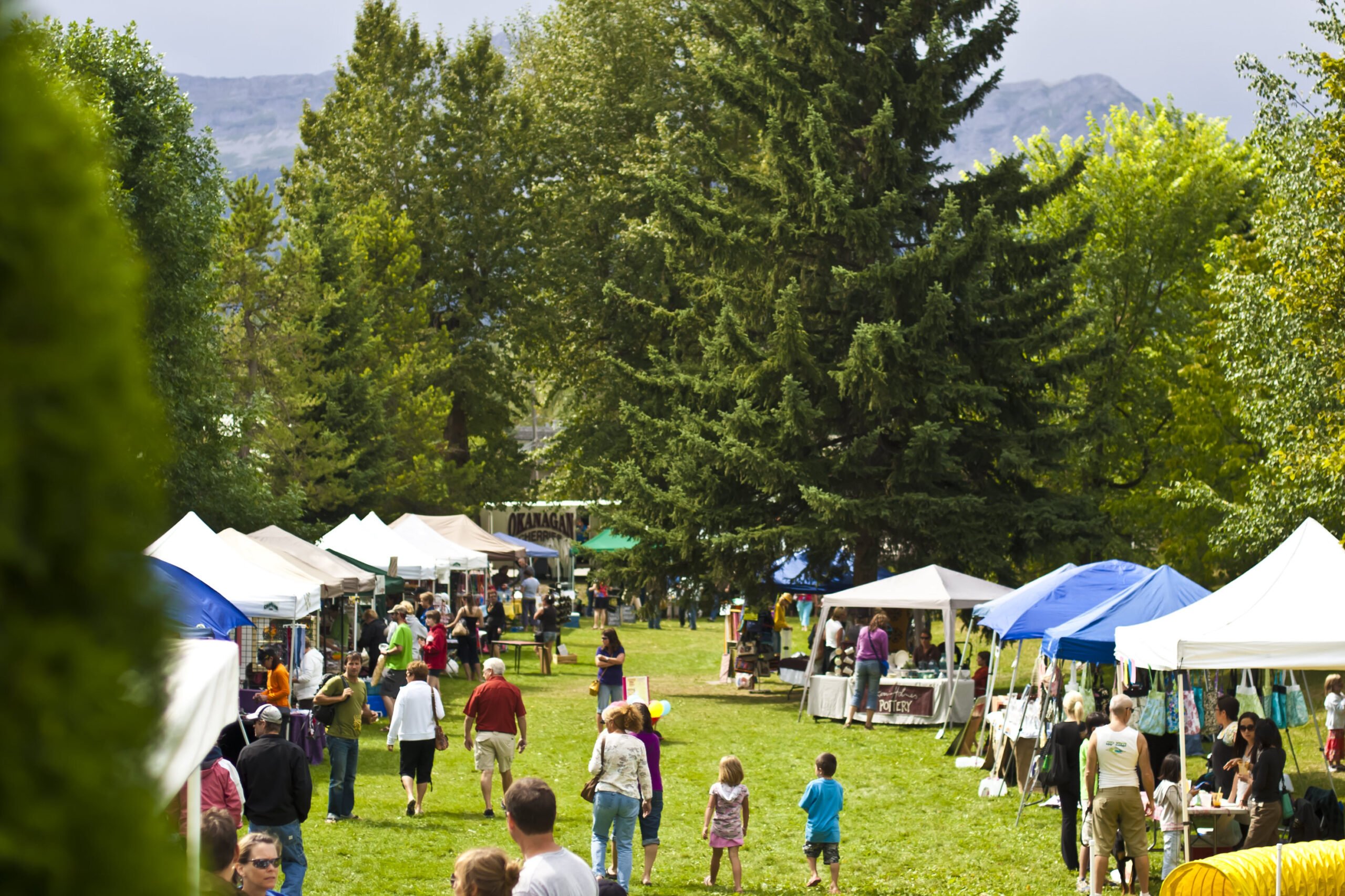 One of the best things to do in Fernie is Shopping at the Mountain Market in Rotary Park Fernie