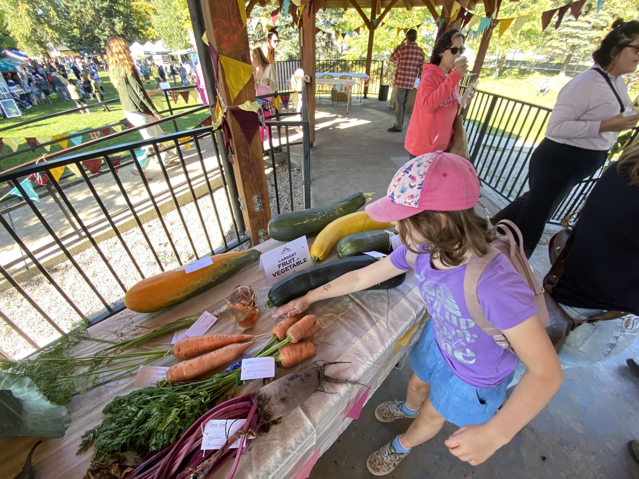 Young girl compares her hand size to a large carrot at the Fernie Chautauqua Fall Fair.