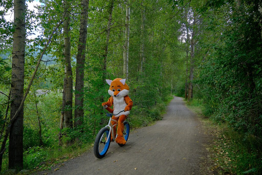 Fernie Fox riding a townie bike on a smooth trail.