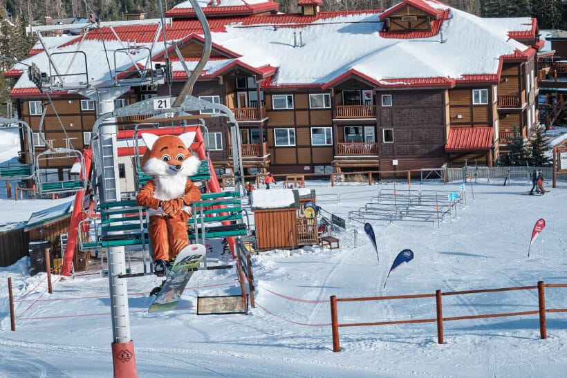 reach to the top for skiing