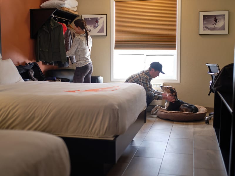 Pet Friendly hotel at Fernie