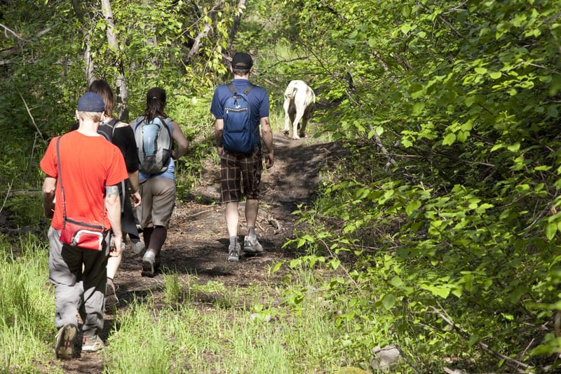 hiking in summer at Fernie