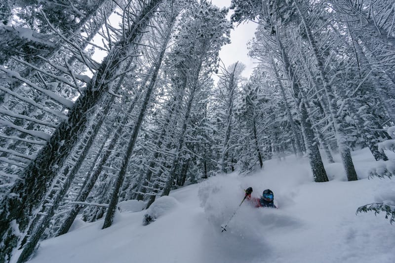 Downhill Skiing at Fernie 
