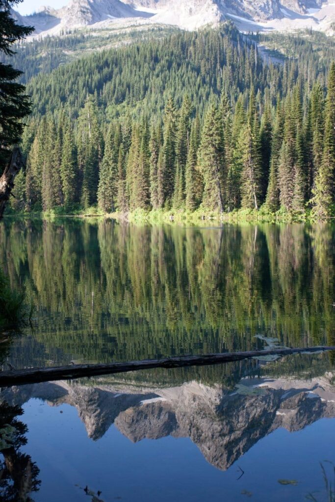 Must-Visit Attractions in Fernie