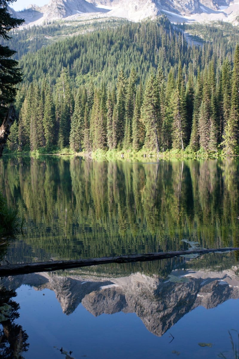 Must-Visit Attractions in Fernie