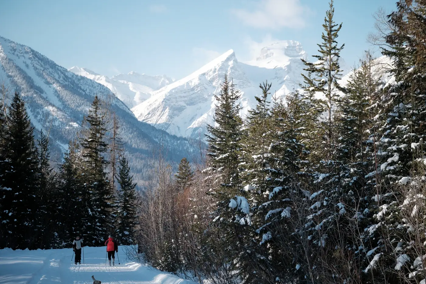 Explore Fernie streets in winter