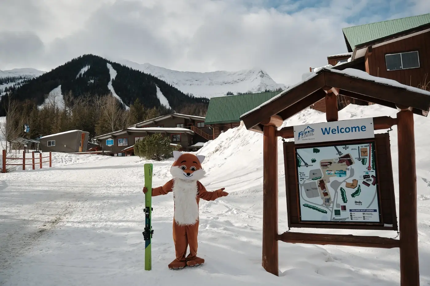 Skiing at Fernie Alpine Resort