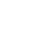 Fox White