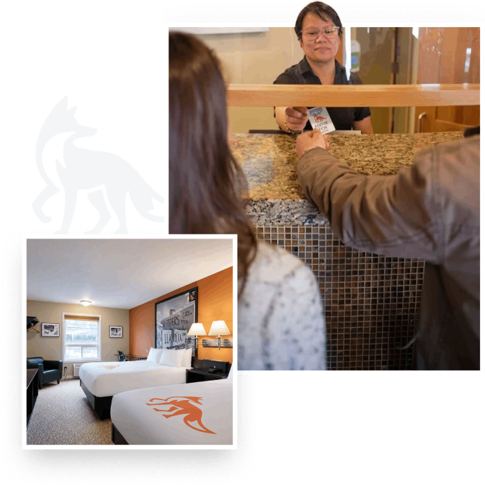 Fernie Fox Hotel Room and Reception Area