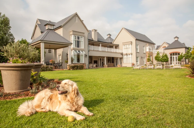 Pet-friendly accommodation for hiking adventures